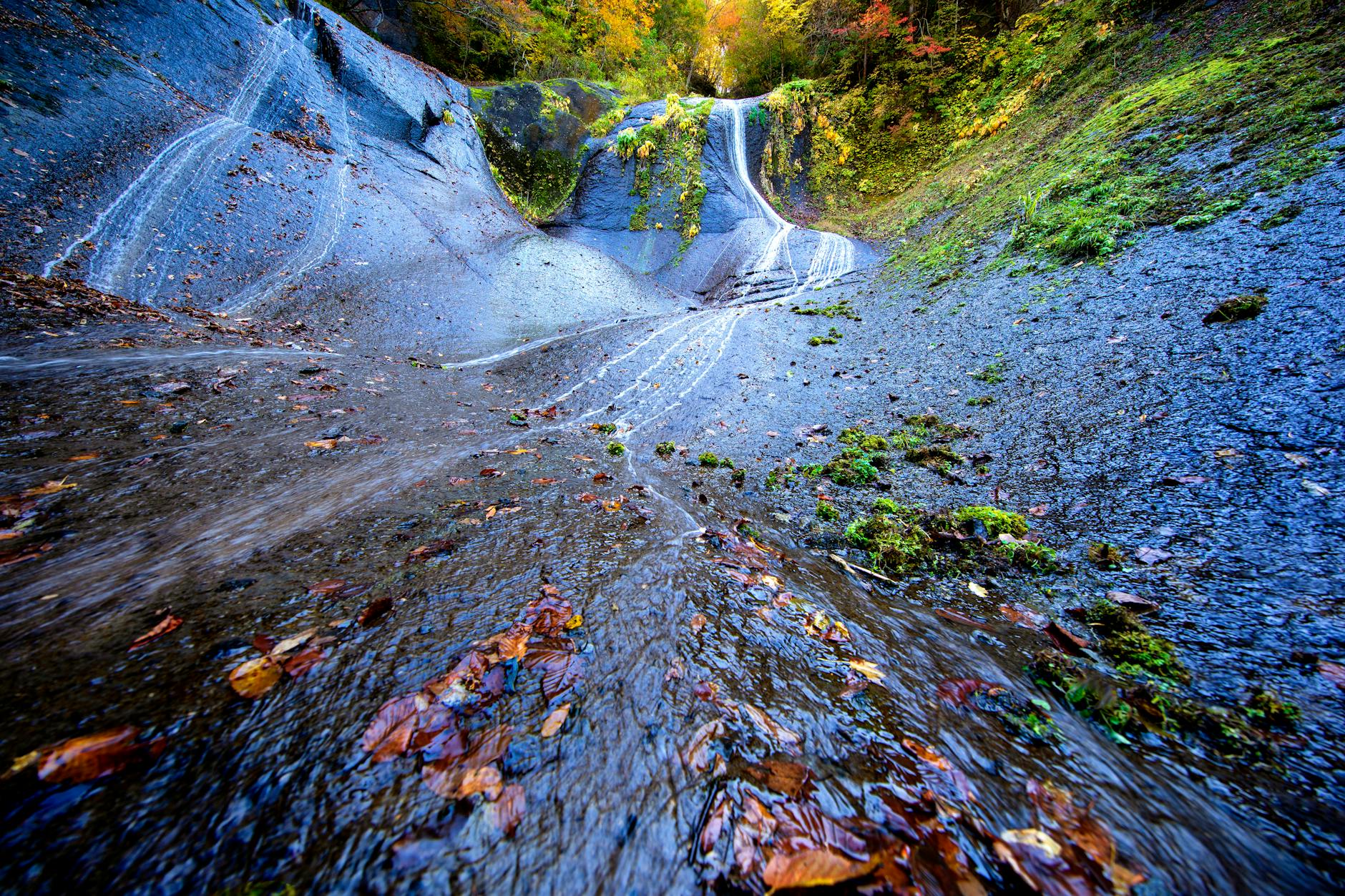 stream in autumn forest