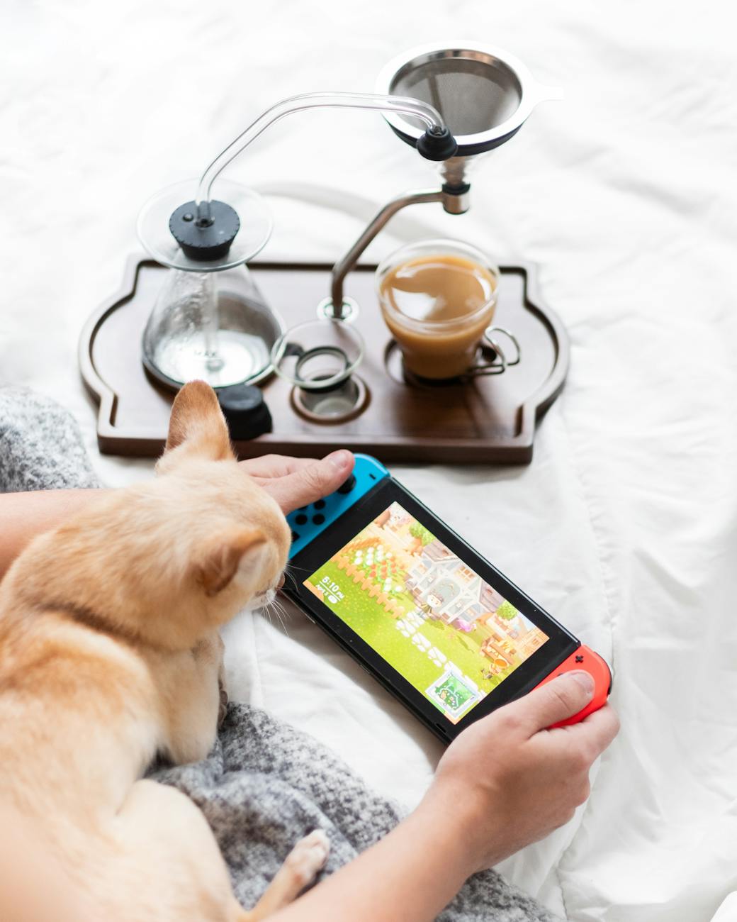 person holding nintendo switch