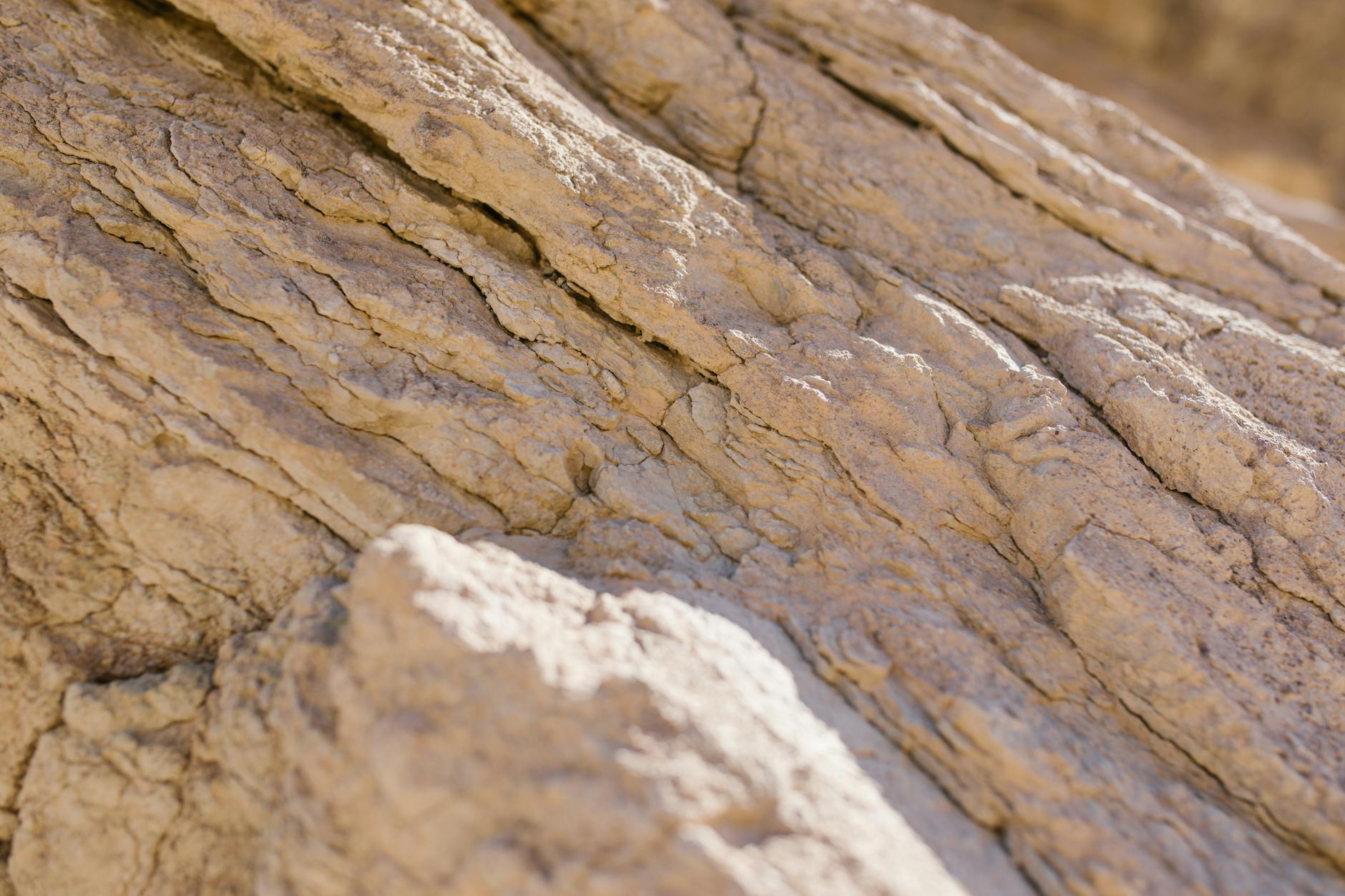 brown rock fragment